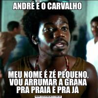 ANDRÉ É O CARVALHO MEU NOME É ZÉ PEQUENO, VOU ARRUMAR A GRANA PRA PRAIA É PRA JÁ 