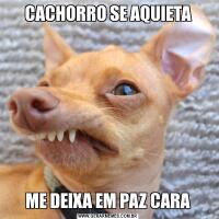 CACHORRO SE AQUIETAME DEIXA EM PAZ CARA