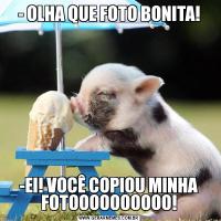 - OLHA QUE FOTO BONITA!-EI! VOCÊ COPIOU MINHA FOTOOOOOOOOOO!