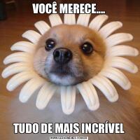 VOCÊ MERECE....TUDO DE MAIS INCRÍVEL