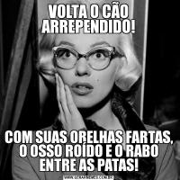 VOLTA O CÃO ARREPENDIDO!COM SUAS ORELHAS FARTAS, O OSSO ROÍDO E O RABO ENTRE AS PATAS!