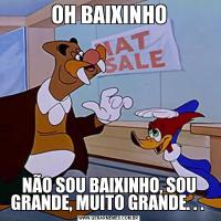 OH BAIXINHONÃO SOU BAIXINHO, SOU GRANDE, MUITO GRANDE. . . 