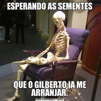 ESPERANDO AS SEMENTESQUE O GILBERTO IA ME ARRANJAR.