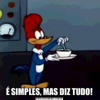 É SIMPLES, MAS DIZ TUDO!