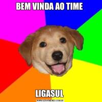 BEM VINDA AO TIME LIGASUL 