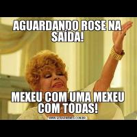 AGUARDANDO ROSE NA SAÍDA!MEXEU COM UMA MEXEU COM TODAS!