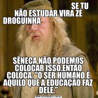                                            SE TU NÃO ESTUDAR VIRA ZÉ DROGUINHA                                                     SÊNECA,NÃO PODEMOS COLOCAR ISSO.ENTÃO COLOCA: "O SER HUMANO É AQUILO QUE A EDUCAÇÃO FAZ DELE."