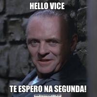 HELLO VICE TE ESPERO NA SEGUNDA!