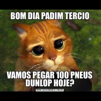 BOM DIA PADIM TERCIOVAMOS PEGAR 100 PNEUS DUNLOP HOJE?