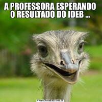 A PROFESSORA ESPERANDO O RESULTADO DO IDEB ...