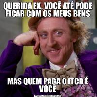 QUERIDA EX, VOCÊ ATÉ PODE FICAR COM OS MEUS BENSMAS QUEM PAGA O ITCD É VOCÊ