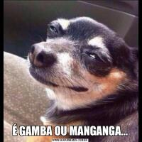É GAMBA OU MANGANGA...