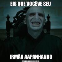 EIS QUE VOCÊVE SEU IRMÃO AAPANHANDO