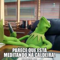 PARECE QUE ESTÁ MEDITANDO NA CALDEIRA!