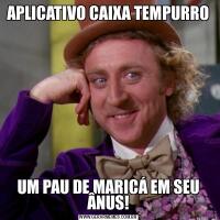 APLICATIVO CAIXA TEMPURROUM PAU DE MARICÁ EM SEU ÂNUS!