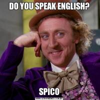 DO YOU SPEAK ENGLISH?SPICO