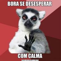 BORA SE DESESPERAR COM CALMA