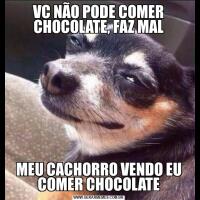 VC NÃO PODE COMER CHOCOLATE, FAZ MALMEU CACHORRO VENDO EU COMER CHOCOLATE