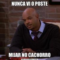 NUNCA VI O POSTEMIJAR NO CACHORRO