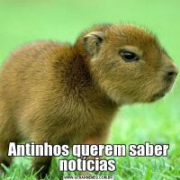 Antinhos querem saber notícias 