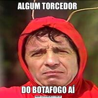 ALGUM TORCEDOR DO BOTAFOGO AÍ