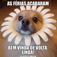 AS FÉRIAS ACABARAMBEM VINDA DE VOLTA, LINDA!