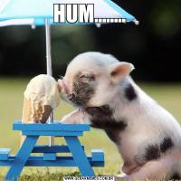 HUM........
