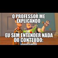 O PROFESSOR ME EXPLICANDO EU SEM ENTENDER NADA DO CONTEÚDO: