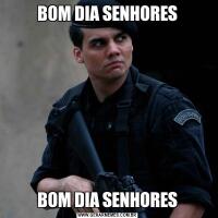 BOM DIA SENHORESBOM DIA SENHORES