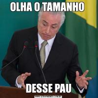 OLHA O TAMANHO DESSE PAU