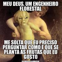 MEU DEUS, UM ENGENHEIRO FLORESTALME SOLTA QUE EU PRECISO PERGUNTAR COMO É QUE SE PLANTA AS FRUTAS QUE EU GOSTO