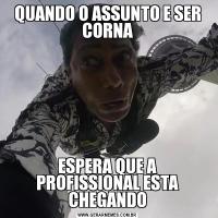 QUANDO O ASSUNTO E SER CORNAESPERA QUE A PROFISSIONAL ESTA CHEGANDO
