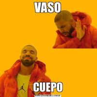 VASOCUEPO