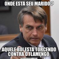 ONDE ESTÁ SEU MARIDO ?AQUELE BOI ESTÁ TORCENDO CONTRA O FLAMENGO 