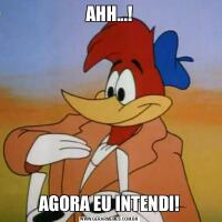 AHH...!AGORA EU INTENDI!