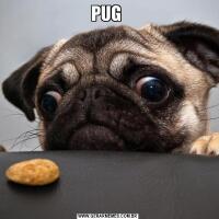 PUG 