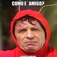 COMO E´ AMIGO?