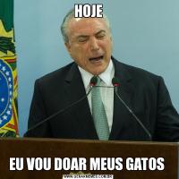 HOJEEU VOU DOAR MEUS GATOS 