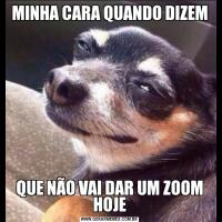 MINHA CARA QUANDO DIZEMQUE NÃO VAI DAR UM ZOOM HOJE