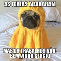 AS FERIAS ACABARAMMAS OS TRABALHOS NÃO! BEM VINDO SERGIO