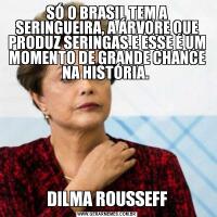 SÓ O BRASIL TEM A SERINGUEIRA, A ÁRVORE QUE PRODUZ SERINGAS.E ESSE É UM MOMENTO DE GRANDE CHANCE NA HISTÓRIA. DILMA ROUSSEFF