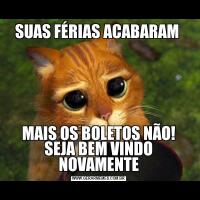 SUAS FÉRIAS ACABARAM MAIS OS BOLETOS NÃO! SEJA BEM VINDO NOVAMENTE