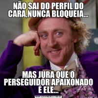 NÃO SAI DO PERFIL DO CARA,NUNCA BLOQUEIA...MAS JURA QUE O PERSEGUIDOR APAIXONADO É ELE...