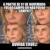 A PARTIR DE 01 DE NOVEMBRO: FUI AO CAMPO OU NÃO FUI AO CAMPO?DÚVIDA CRUEL!
