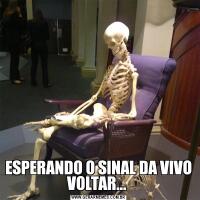 ESPERANDO O SINAL DA VIVO VOLTAR... 