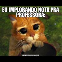 EU IMPLORANDO NOTA PRA PROFESSORA: