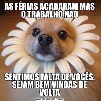 AS FÉRIAS ACABARAM MAS O TRABALHO NÃOSENTIMOS FALTA DE VOCÊS, SEJAM BEM VINDAS DE VOLTA