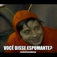 VOCÊ DISSE ESPUMANTE?