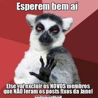 Esperem bem aí Else vai excluir os NOVOS membros que NÃO leram os posts fixos da Jane!