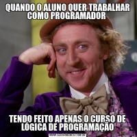 QUANDO O ALUNO QUER TRABALHAR COMO PROGRAMADOR TENDO FEITO APENAS O CURSO DE LÓGICA DE PROGRAMAÇÃO
